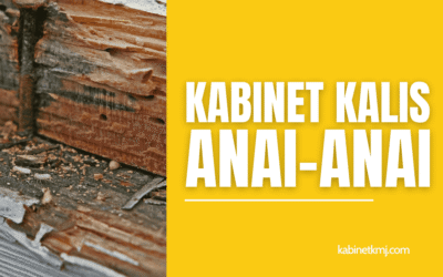 Kabinet Kalis Anai-Anai: Solusi Terbaik Untuk Rumah Anda
