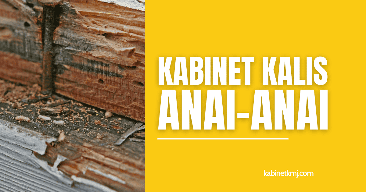 Kabinet Kalis Anai-anai
